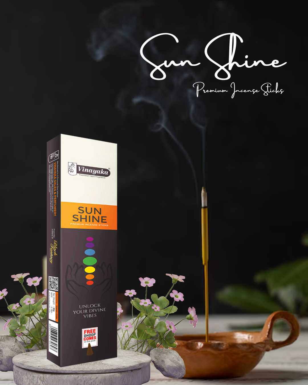 Sun-Shine-Economy-Long-Box